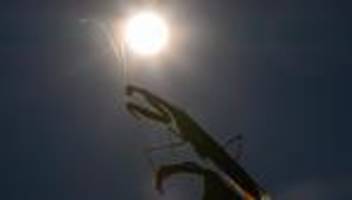 Globale Erwärmung: 2025 könnte zweitwärmstes Jahr seit Beginn der Aufzeichnungen werden