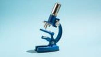 mint-fächer: hört auf, formeln auswendig zu lernen!