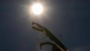 Vorläufige Klimabilanz: 2025 dürfte eines der drei heißesten Jahre werden