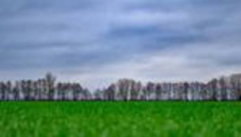 Wetter: Milde Temperaturen in Berlin und Brandenburg