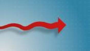 wählerschaft der afd: die afd ist vorerst am limit