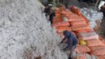 Europäische Union: EU einigt sich auf Abschwächung des Lieferkettengesetzes