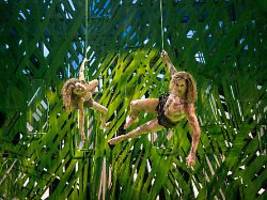 Gemeinsam auf der Bühne: Alexander Klaws' Sohn tritt in seine Tarzan-Fußstapfen