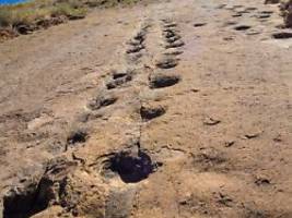 sensation in südamerika: forscher legen feld mit tausenden dino-spuren frei