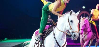 Showreiten als Beruf: Spagat auf dem Pferderücken