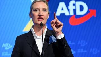 afd, trump, putin: für europa bricht ein neues zeitalter an