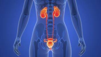 ursache für blasenkrebs: dieses virus könnte eine wichtige rolle spielen