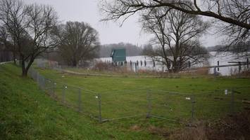 Gift unter Liegewiese: Freigabe 2026, wenn schnell Gras darüber wächst