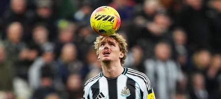 vielleicht waren es doch keine idioten: das gastspiel des nick woltemade