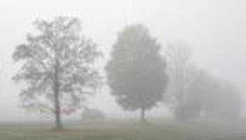 DWD-Wettermeldung: Dichter Nebel im Donauraum – Glättegefahr in Südbayern