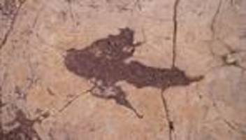 paläontologie: forscher entdecken 18.000 dinosaurier-fußspuren in bolivien