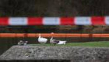 Wasserstraße: Diesel im Main: Sperre aufgehoben, keine Tiere verendet