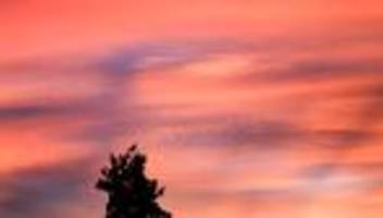 Wetter: Milde Temperaturen in Sachsen