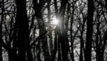 Wetter: Weiterhin mildes Wetter in Berlin und Brandenburg