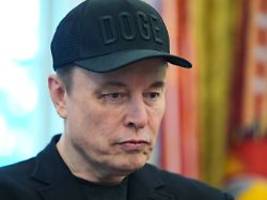 Hätte einfach arbeiten sollen: Elon Musk bezeichnet Doge nur als einigermaßen erfolgreich