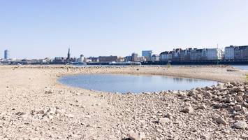 EU setzt sich neues Klimaschutz-Ziel – doch eine Maßnahme sorgt für Streit