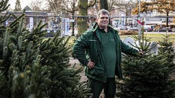 Weihnachtsbaum-Verkäufer berichtet: „Man erlebt Familiendramen“