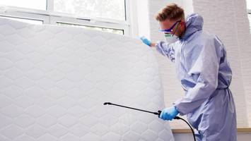 unseriöse kammerjäger in hamburg: auf diese fünf merkmale müssen kunden achten