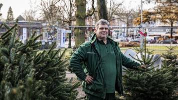 Weihnachtsbaum-Verkäufer berichtet: „Man erlebt Familiendramen“