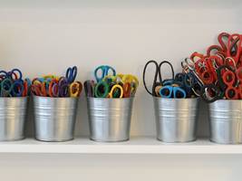 biologie: kastrierte tiere leben länger – und menschen?