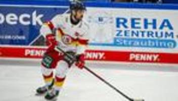 deutsche eishockey liga: nürnberg ice tigers holen abwehrroutinier