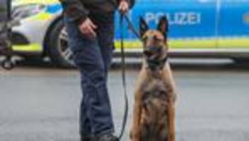 Finanzpolitik: Rechnungshof mahnt Verzicht auf neue Schulden an