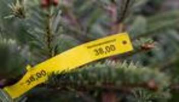 Kriminalität: Weihnachtsbäume gestohlen: Täter schlagen in Oranienburg zu