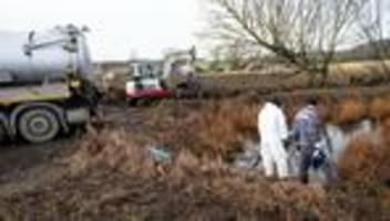 Unglück: Öl-Fontäne schießt aus Pipeline – Was wir wissen