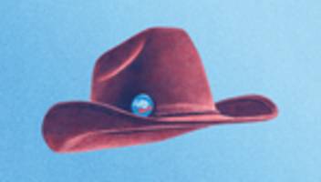 AfD und USA: Kampf der Volksparteien