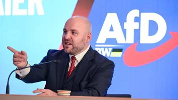 AfD-Mitglieder reisen zu Trump-Anhängern – Kosten gehen in die Zehntausende