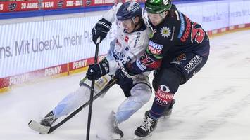 die eisbären proben den widerstand