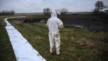 Leck an Öl-Pipeline – Umweltministerin: „Sind mit blauem Auge davon gekommen“