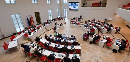 AfD erreicht in Brandenburg Umfrage-Höchststand