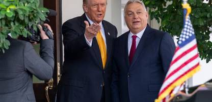 USA: Kann es Donald Trump gelingen Österreich, Italien, Polen und Ungarn aus der EU zu lösen?