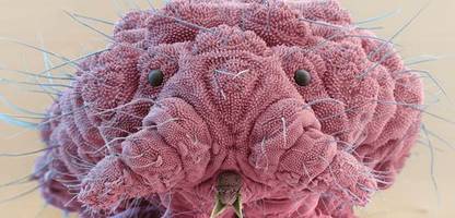 Unsere liebsten Wissenschaftsbücher 2025