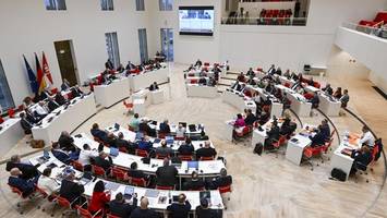 afd-brandenburg mit rekord – Ähnlicher trend in anderen bundesländern