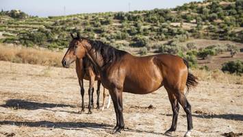 Sensation: Neue Erkenntnisse zum Leben im bronzezeitlichen Sizilien