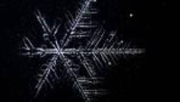 Elbvertiefung: Der tägliche Newsletter aus Hamburg: Minus 271 Grad Celsius! Ab heute wird es kalt im Hamburger Westen