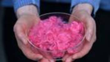 Forschung & Entwicklung: Sport bis Raumfahrt: Neues Zentrum erforscht textile Zukunft