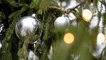 Gemeindebaum: Weihnachtsbaum vor Rathaus umgesägt - vierstelliger Schaden