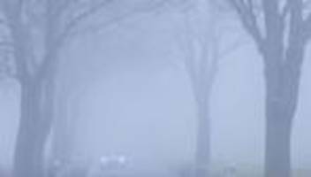 Unfälle: Vollbesetzter Schulbus verfehlt im Nebel Abbiegung