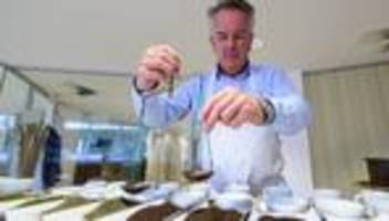 Ungewöhnliche Berufe: Teetester mit Leidenschaft und ausgeprägtem Geschmackssinn