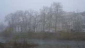 Vorhersage: Mild und nebelig in Rheinland-Pfalz und dem Saarland