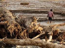 klimawandel: erst kam der regen. und dann das holz