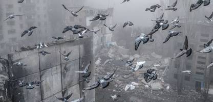 Ukraine: Trumps neuster Friedensplan soll den Donbass preisgeben