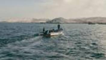 muscheltaucher im pazifik: muschelrausch