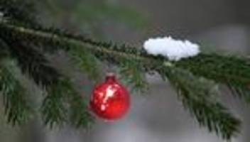 Weihnachtszeit: Wo gibt es regionale Bäume zum Selberschlagen?