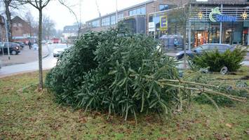 pkw kracht gegen weihnachtsbaum – eine person auf der flucht