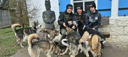 familie stolz aus penzing hat huskys, die schon wieder weltmeister sind