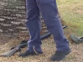 Auch ein Angreifer getötet: Neun Todesopfer nach Schüssen auf Channukka-Feier in Sydney